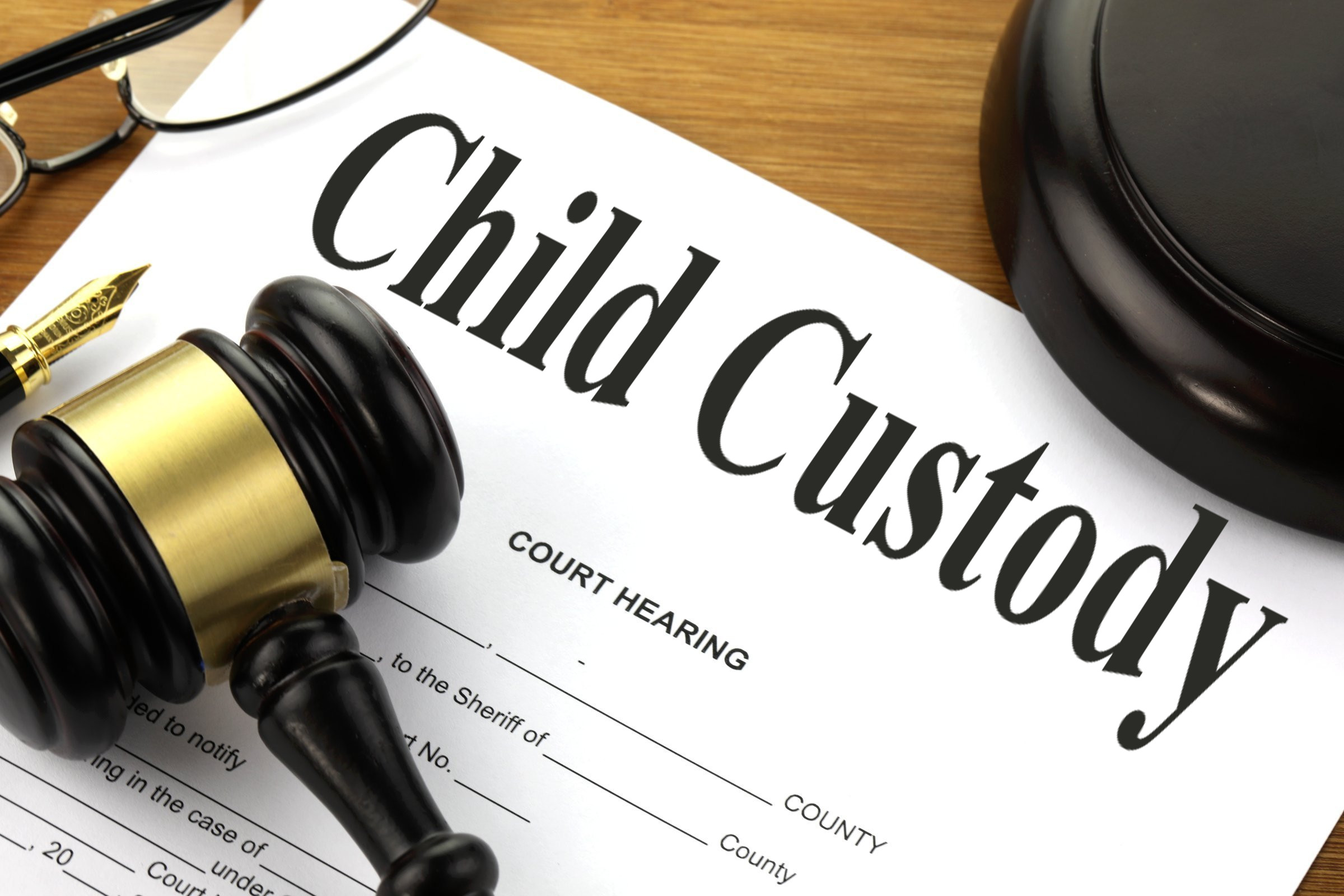 Child Custody legal case pro 